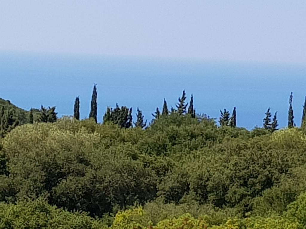 Alexia Ferentinou Apartment Fiskardo Bagian luar foto
